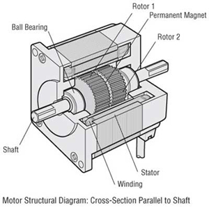 Stepper Motor Internal Rotor and Stator Structure